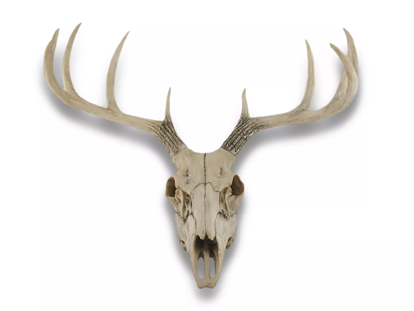10 Point Buck Deer Skull Bust Wall Hanging