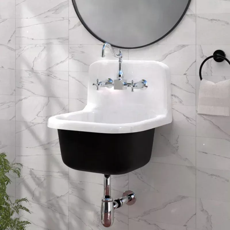 22" Alexane Enameled Cast Iron Wall Mount Bathroom Sink