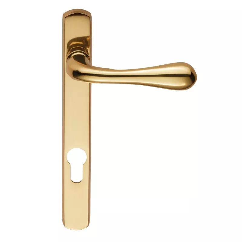Astro Lever on Euro Lock Narrow Plate