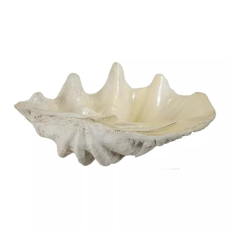 A&B Home Large Clam Shell Accent
