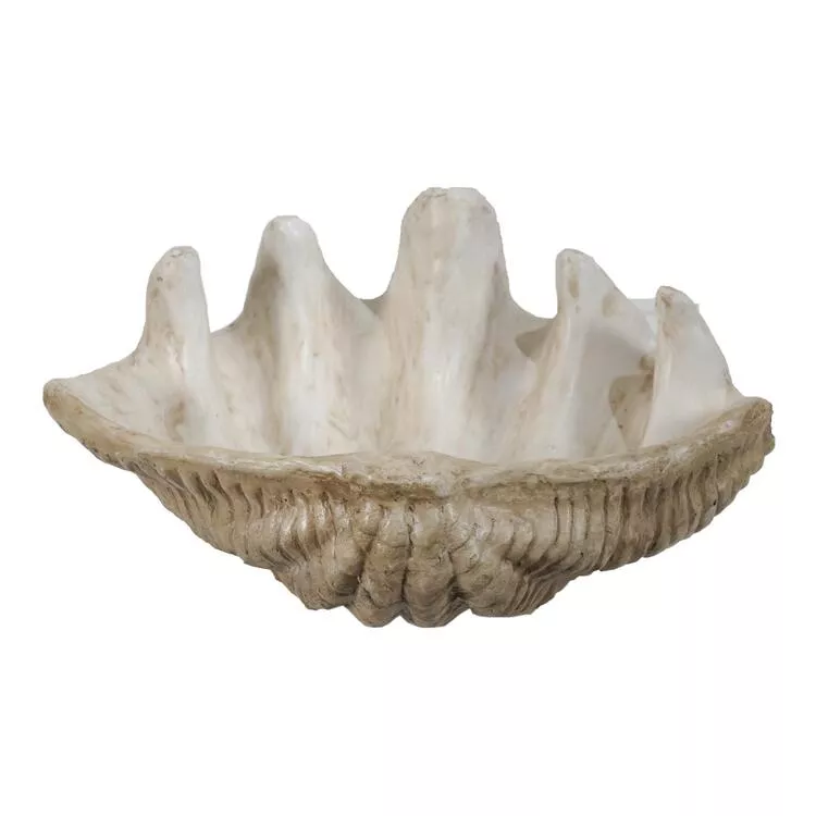A&B Home Medium Clam Shell Accent
