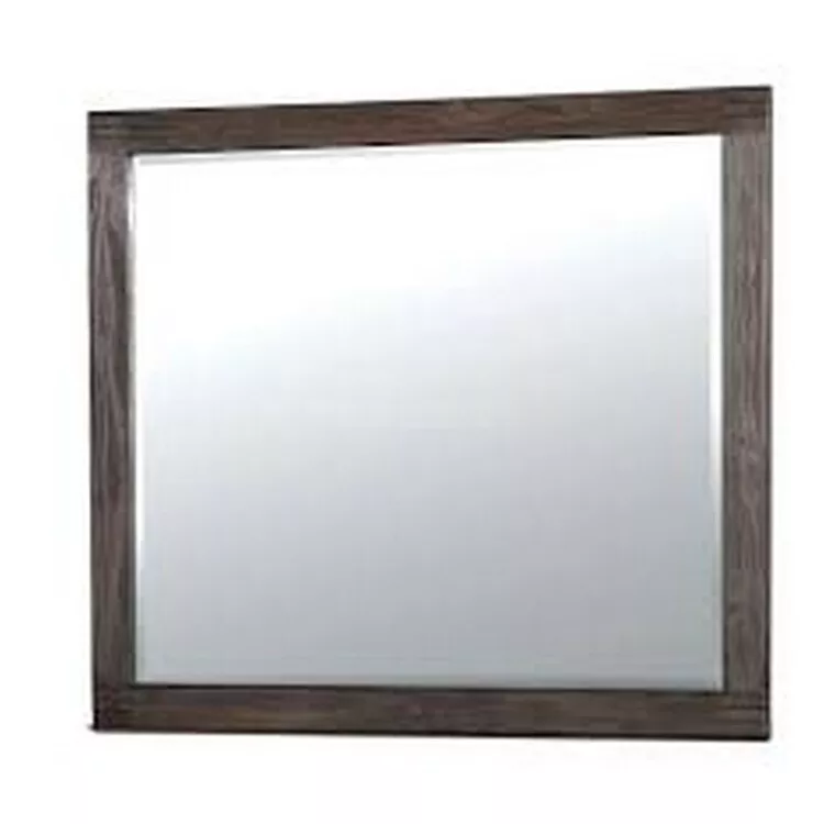 Benjara Rexburg Transitional Style Mirror, Dark Gray