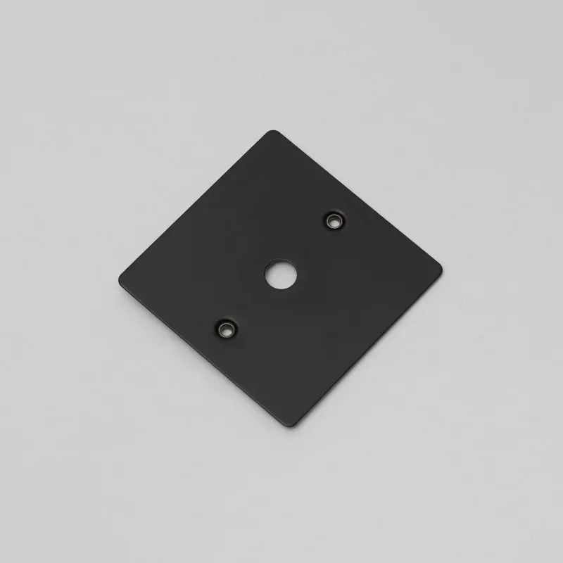 Buster + Punch Wall Plate