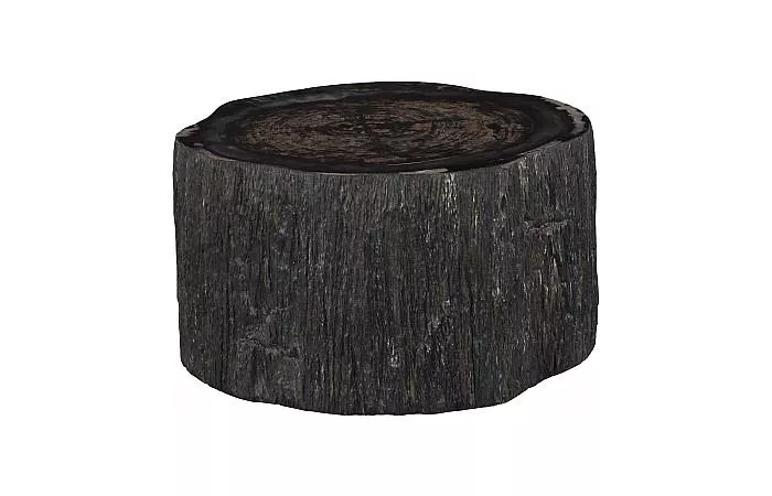 Chaka Petrified Short Coffee Table