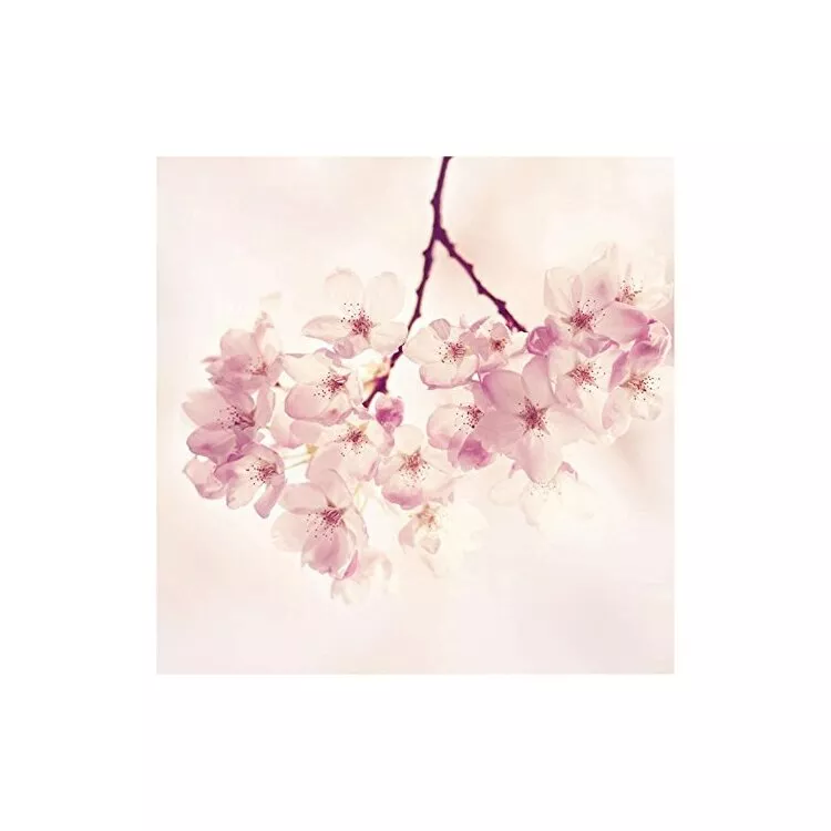 Cherry Blossoms Painting Print on Wrapped Canvas