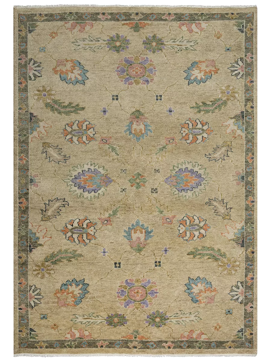 Envision ENV994 8' x 10' Rug