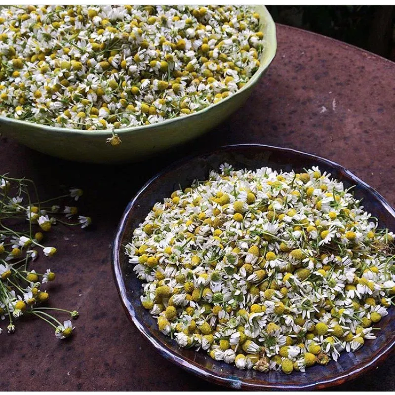 German Chamomile Seeds