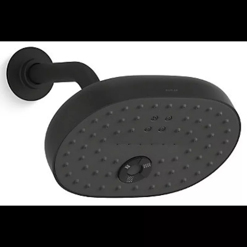 Kohler K-26290T-BL STATEMENT Multi-Function Showerhead (Black)