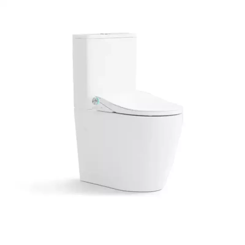 Lafeme Thea Luxury Bidet Seat