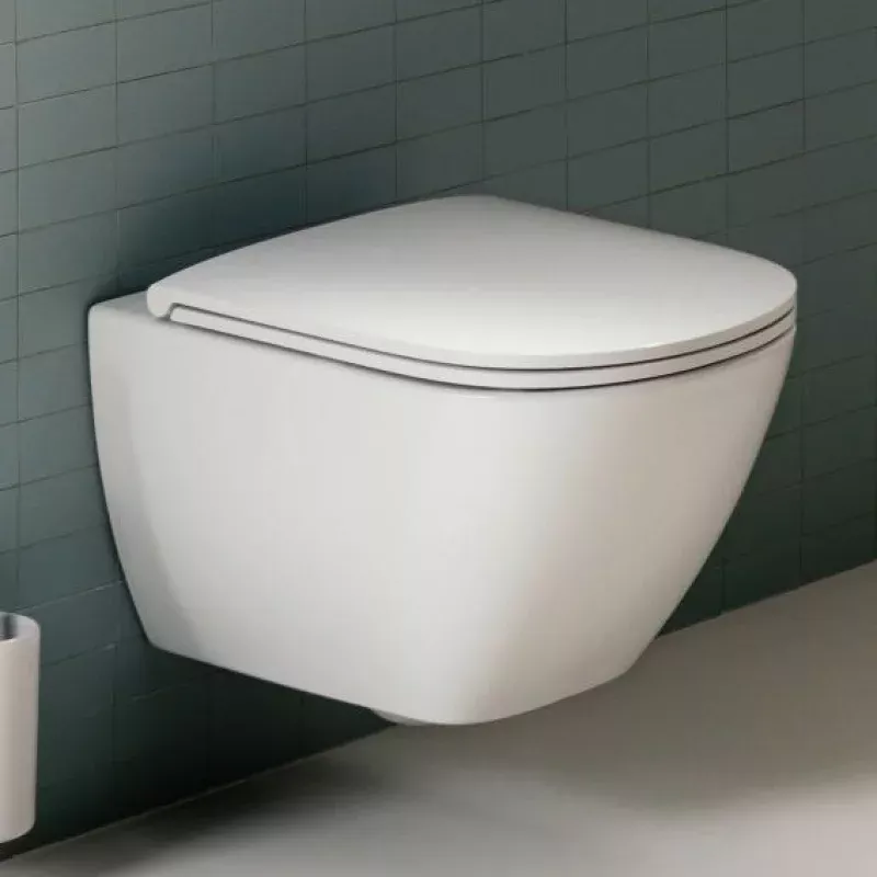LAUFEN LUA wall-mounted, washdown toilet