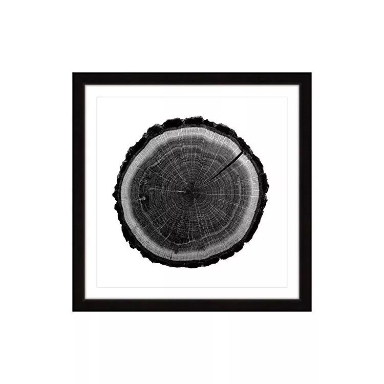 Log Framed Painting Print