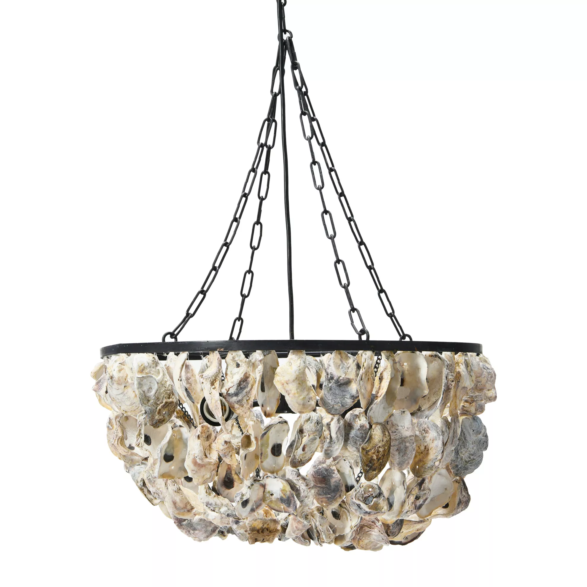 Metal and Draped Oyster Shell Chandelier, Multicolor