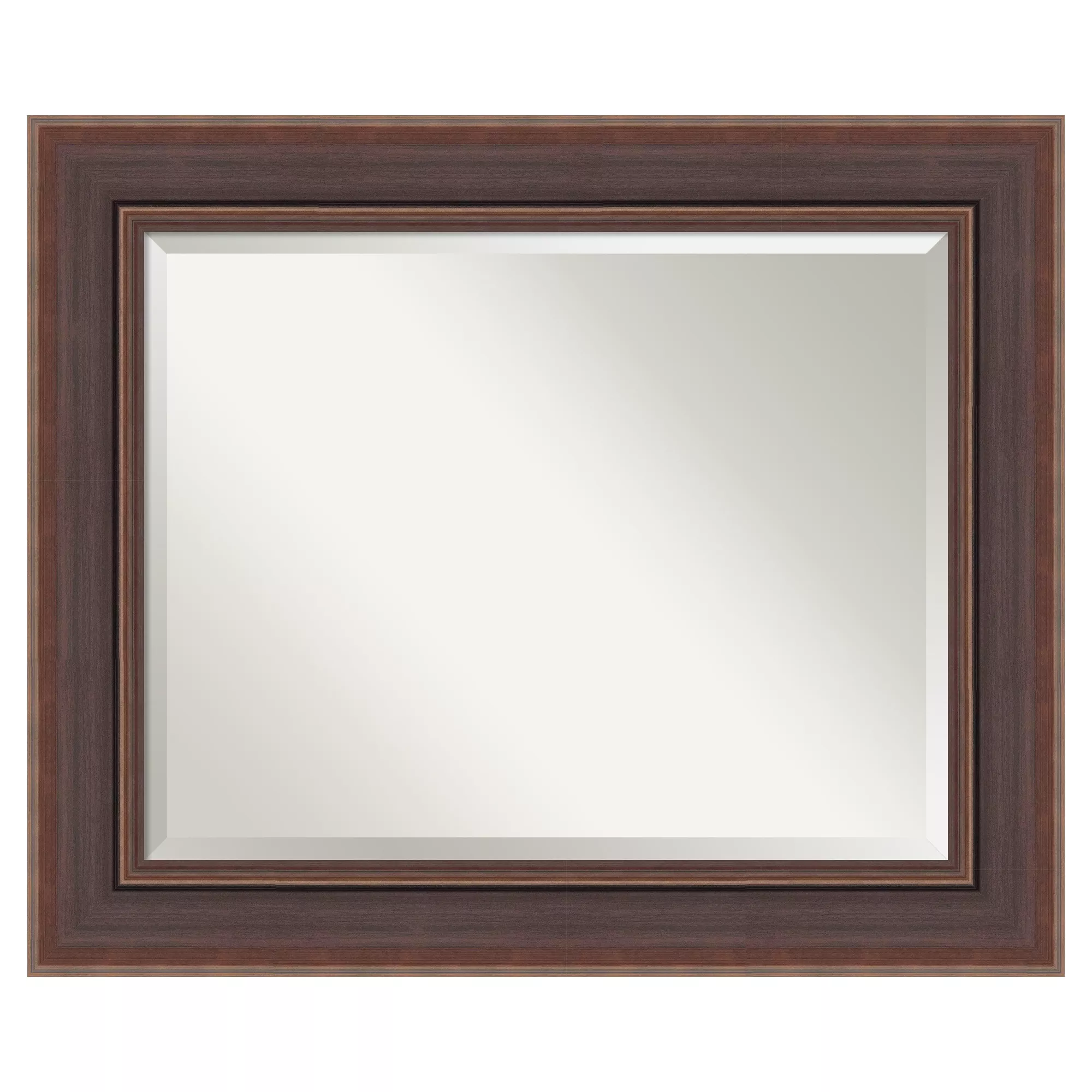 Moab Brown Bronze Beveled Framed Wall Mirror