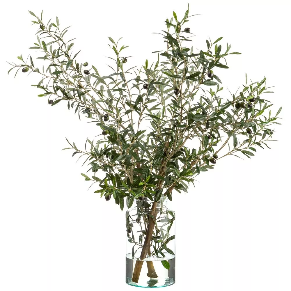 Olive Tree Branches in Glass Vase