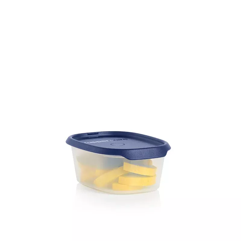 One Touch Fresh Oval | 2 cup / 540 mL
