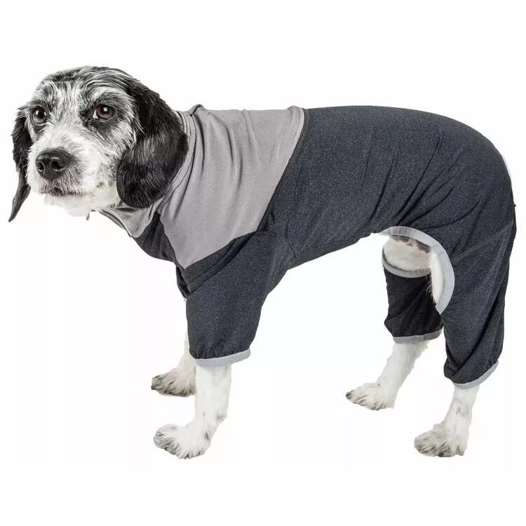 Pet Active Wear with Quick-Drying UV Protection & Anti-Odor Technology
