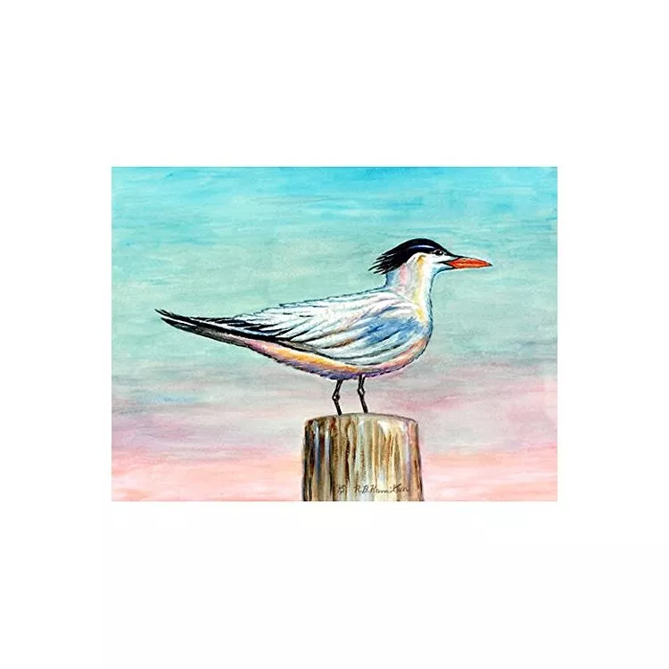 Royal Tern Door Mat 18x26