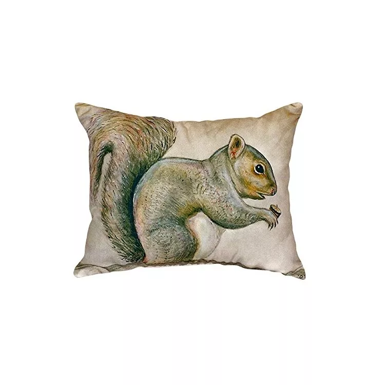 Squirrel No Cord Pillow 16x20