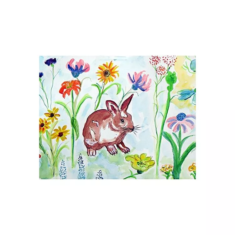 Whiskers Door Mat 30x50