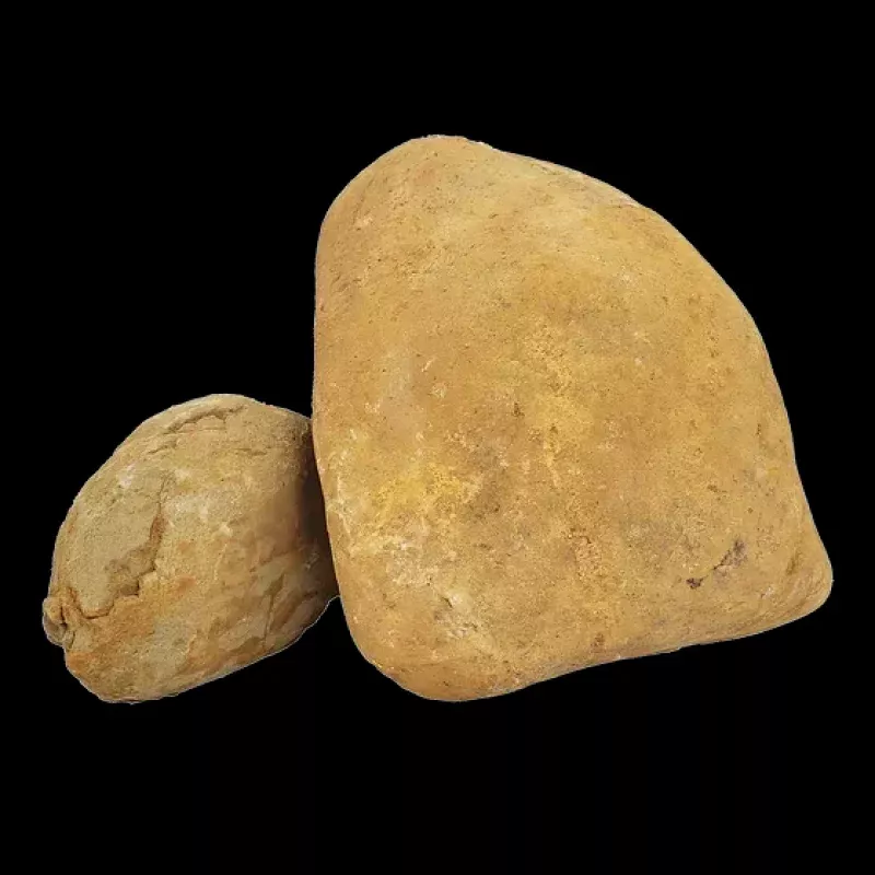 WIO - Bumblebee Boulder