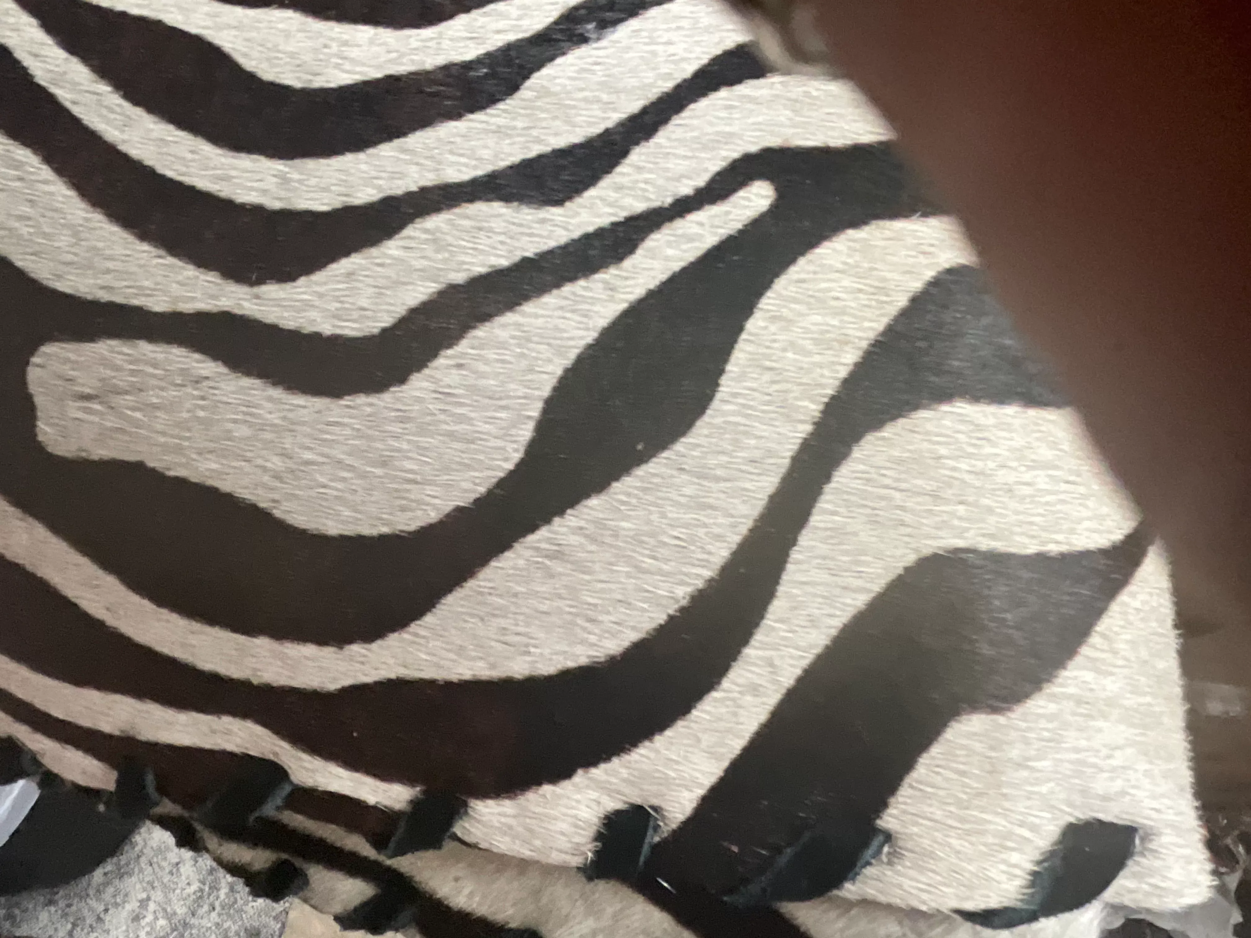 Zebra Print Placemats